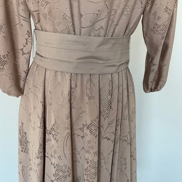 Vintage Lace Pleated Belted Dress - Picture 9 of 11